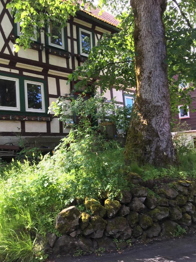 Ferienwohnung Harzblick 1 Braunlage Exteriér fotografie